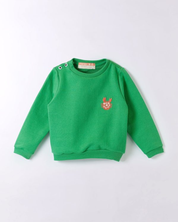 Moletom Bebe Basico Cores